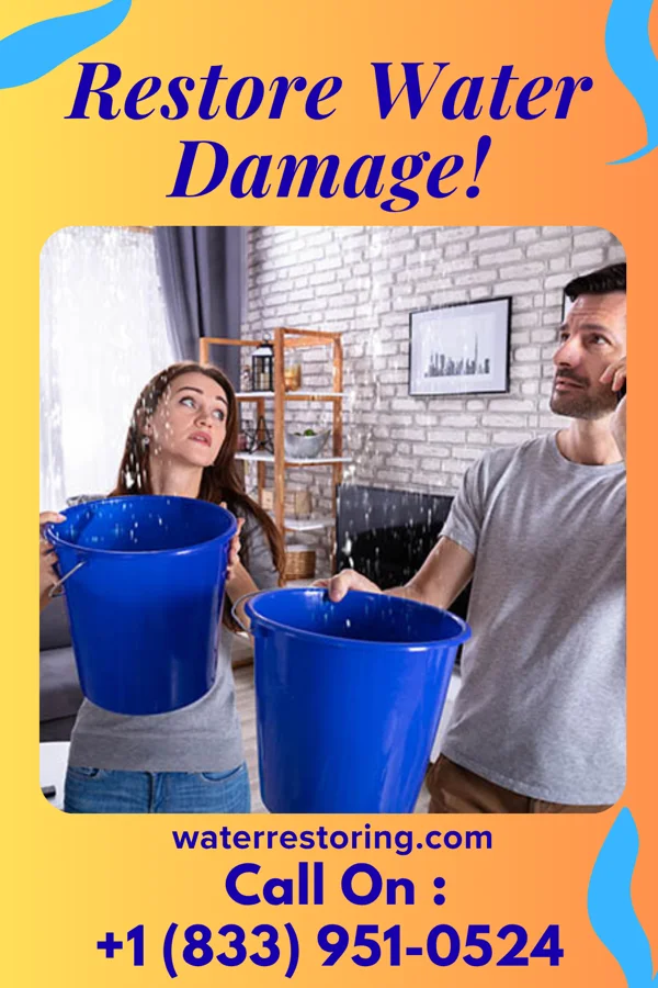 water restoration Prime Disaster Recovery Inc Kirkwood